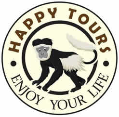 Happy Tours Africa!